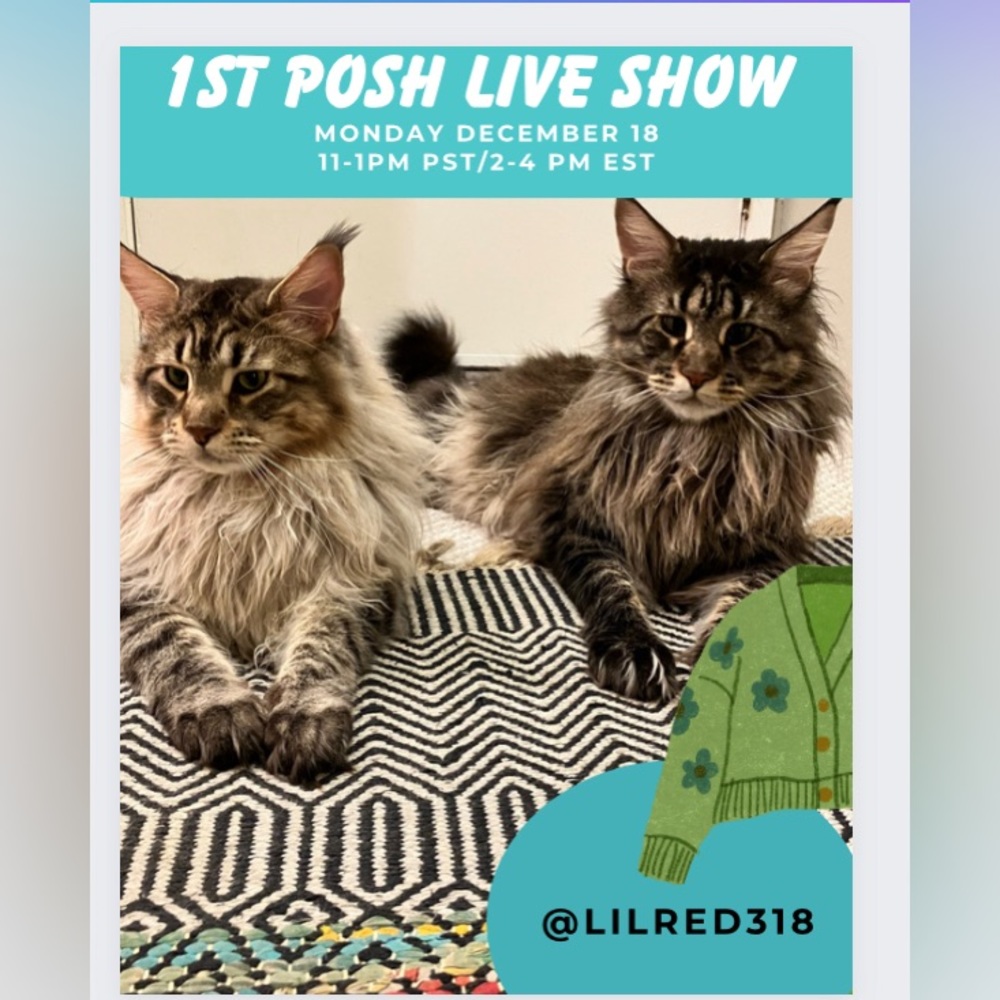 My first posh show December 18.